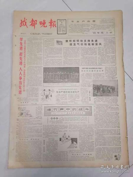 四川综合日报 日用杂品行业的时代变迁与消费新趋势